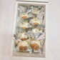 Nutella Soft Cookies - 8 pcs per box